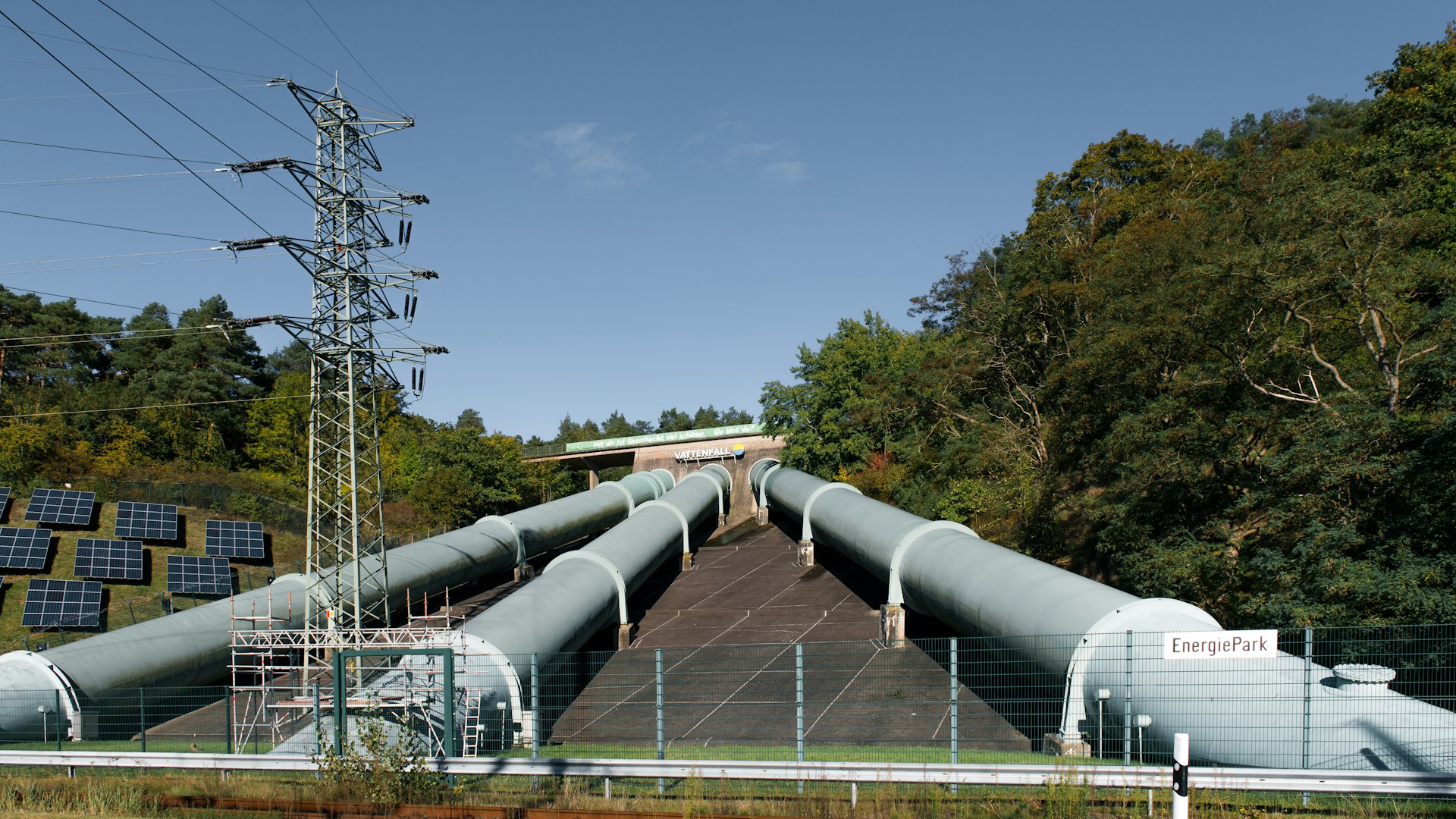 A large pipe sitting next to a forest filled with trees